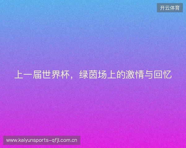上一届世界杯，绿茵场上的激情与回忆